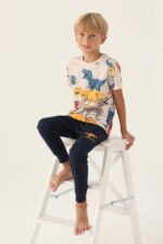 RP3360 طقم بيجاما قطن قطعتين للاولاد برسم ديناصورات