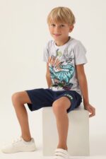 RP3364 طقم شورت للاولاد قطن قطعتين نصف كم ديناصور - الصورة 2