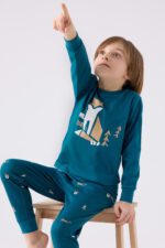 ⁦RP3432 بيجاما للاولاد قطن خريفي ربيعي FOX لون تركوازي⁩ - الصورة ⁦2⁩