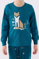 ⁦RP3432 بيجاما للاولاد قطن خريفي ربيعي FOX لون تركوازي⁩ - الصورة ⁦3⁩